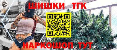 индика Лесосибирск
