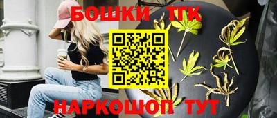 индика Лесосибирск