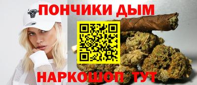 индика Лесосибирск