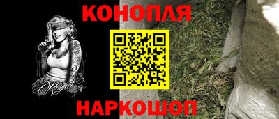 индика Лесосибирск