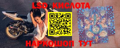 индика Лесосибирск
