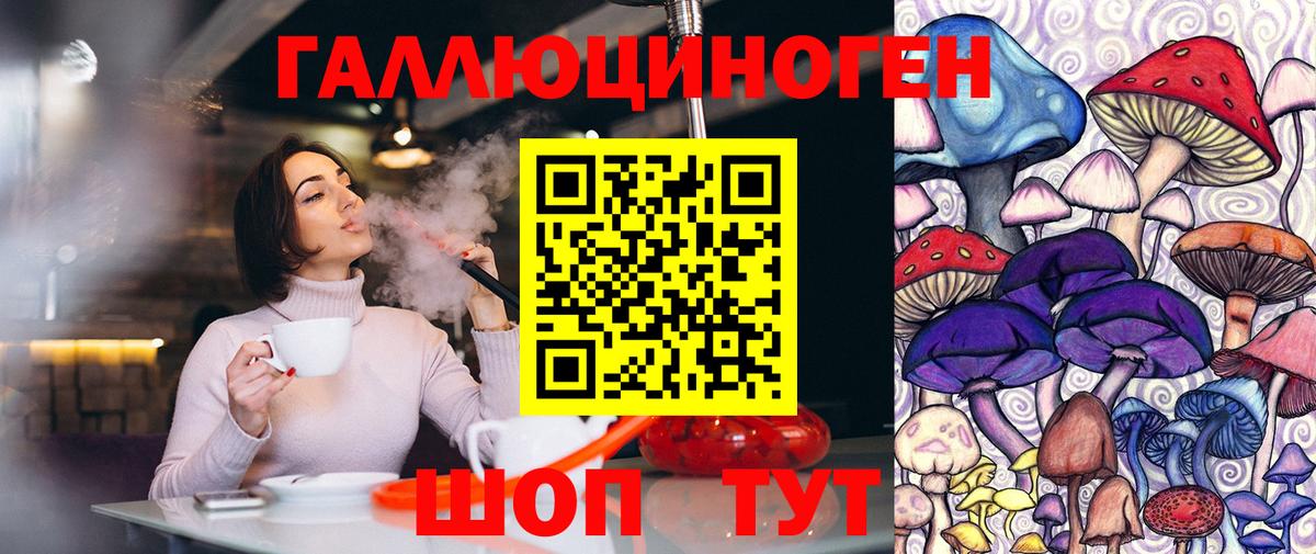 Ейск  Псилоцибиновые грибы GOLDEN TEACHER  Вход с VPN  купить наркотики сайты  Псилоцибиновые грибы MAGIC MUSHROOMS 