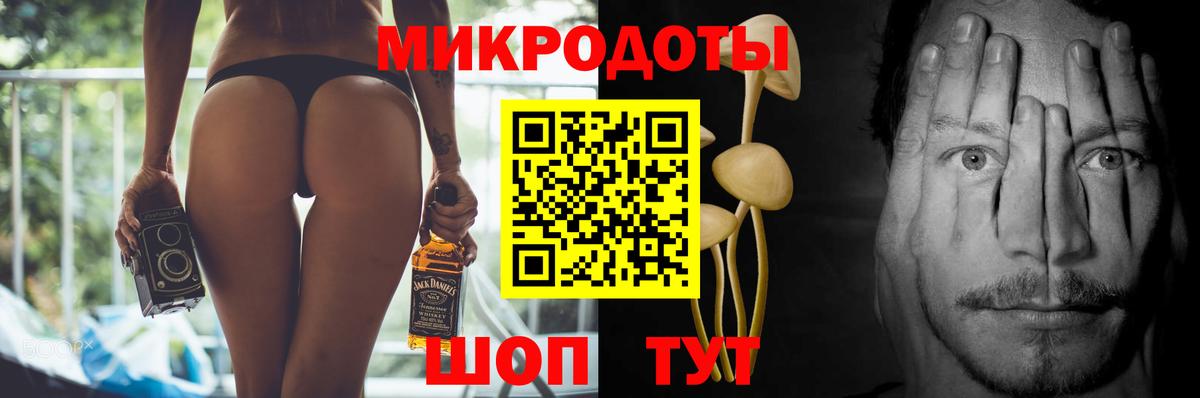 Галлюциногенные грибы Psilocybe Ейск